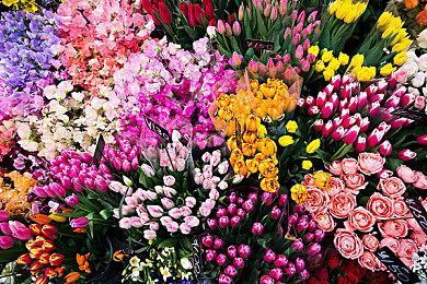 《对马岛之鬼：导演剪辑版》新图 壹岐岛风景美如画