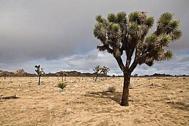 《明末：渊虚之羽》新短片和截图 性感女主杀四方